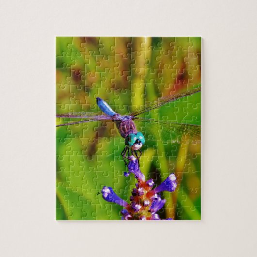 Puzzle Dragonfly (Vertical)