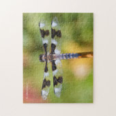 Puzzle Dragonfly à huit pointes (Vertical)