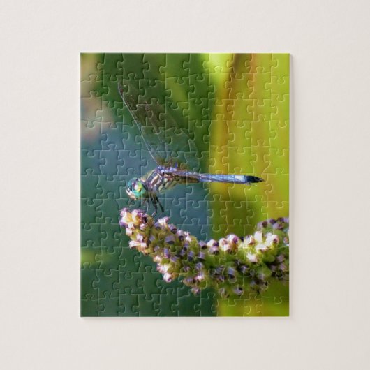 Puzzle Dragonfly aux yeux turquoises (Vertical)
