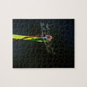 Puzzle Dragonfly bleu et noir sur gazon vert et rouge (Horizontal)