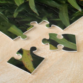 Puzzle Dragonfly Bridge et lac, Singapour (Côté)