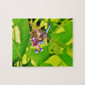 Puzzle Dragonfly de couleur arc-en-ciel sur une fleur ros (Horizontal)