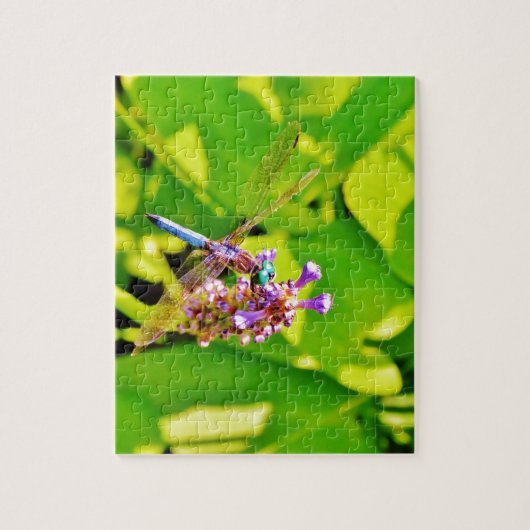 Puzzle Dragonfly de couleur arc-en-ciel sur une fleur ros (Vertical)