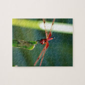 Puzzle Dragonfly frontale rouge et noire (Horizontal)