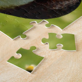 Puzzle Drake mallard sur l'herbe (Côté)