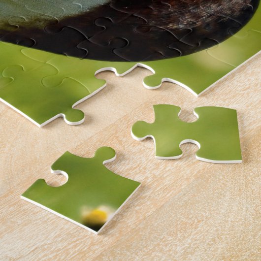 Puzzle Drake mallard sur l'herbe (Côté)