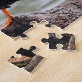 Puzzle Drake, Turquoise de cannelle, regarde en arrière (Côté)