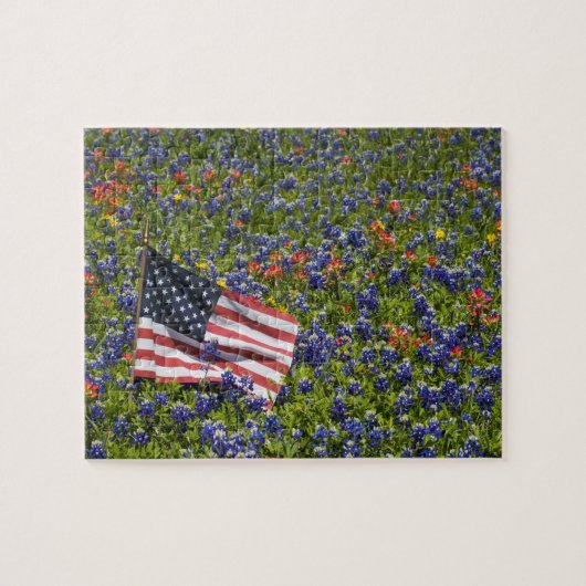 Puzzle Drapeau américain dans un champ de bleuets, 2 (Horizontal)