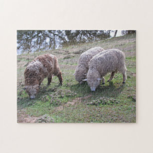 Puzzle - Drie schapen Legpuzzel