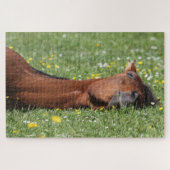 Puzzle Drôle Cheval souriant dans le champ herbeux (Horizontal)