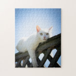 Puzzle drôle de chat<br><div class="desc">Puzzles are a great way to spend quality time together ! Especially during a world-wide pandemic! Je m'en occupe,  je veux dire,  je veux dire,  je veux dire,  je veux dire,  je veux dire,  je veux dire,  j'ai ce sweet cat makes your familiy giggle !</div>