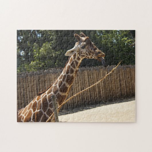 Puzzle drôle de girafe (Horizontal)