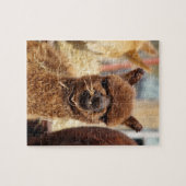 Puzzle drôle Isabella d'alpaga (Horizontal)