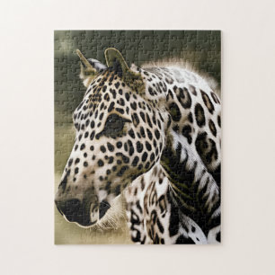 Puzzle Drôle Leopard Appaloosa