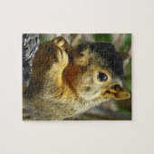 Puzzle Drôle mignon écureuil photo (Horizontal)