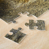 Puzzle Drôle mignon écureuil photo (Côté)