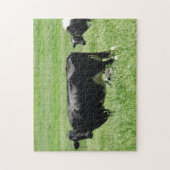 Puzzle Drôle Photobombing Black Cow (Vertical)