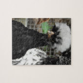 Puzzle Drôle poulet polonais gros photo (Horizontal)