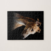 Puzzle drôle visage greyhound sourire greyhound (Horizontal)