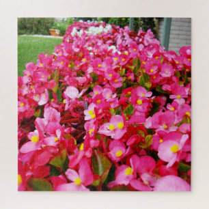 Puzzle Droplets Roses Du Printemps, Begonia,