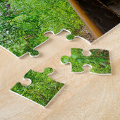 Puzzle Dry Falls North Carolina. (Côté)