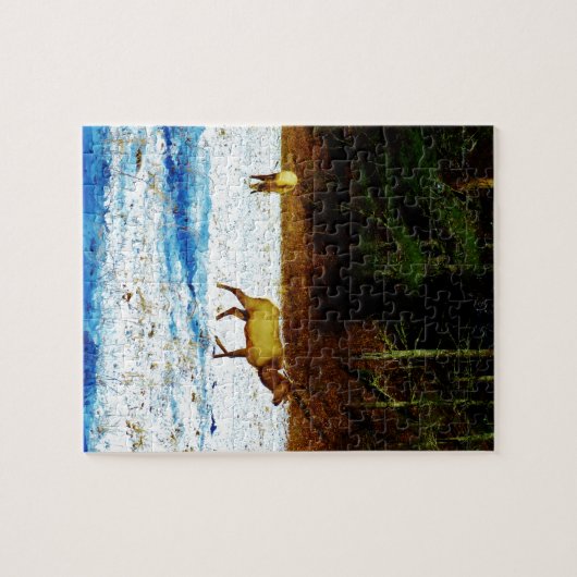 PUZZLE DSC00131.JPG (Horizontal)