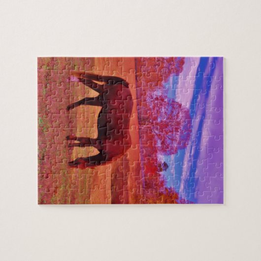 PUZZLE DSCF0536.JPG (Horizontal)