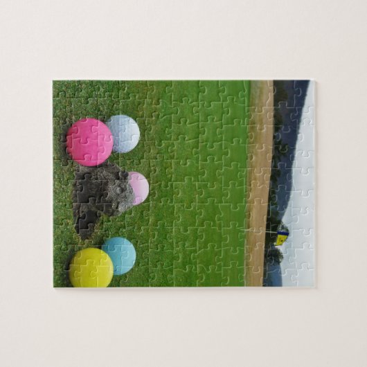 PUZZLE DSCF0692.JPG (Horizontal)