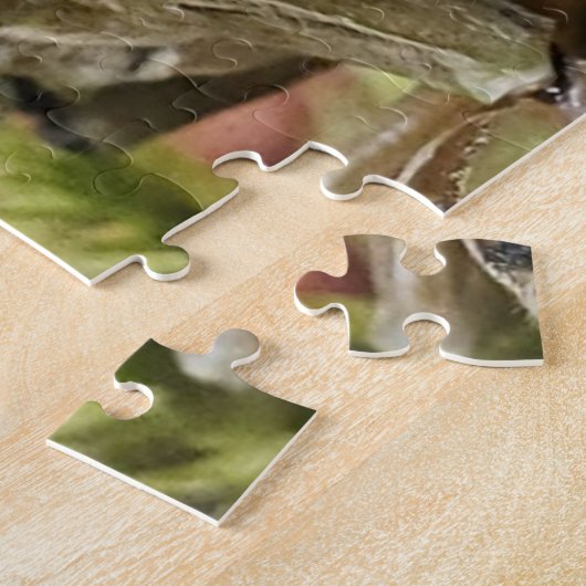 Puzzle du Canada (Côté)