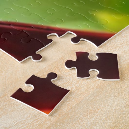 Puzzle du Cardinal Nord (Côté)