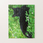 Puzzle du chat Bombay allongé dans du trèfle vert (Vertical)