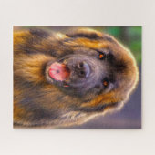 Puzzle du chien de race Leonberger. (Horizontal)