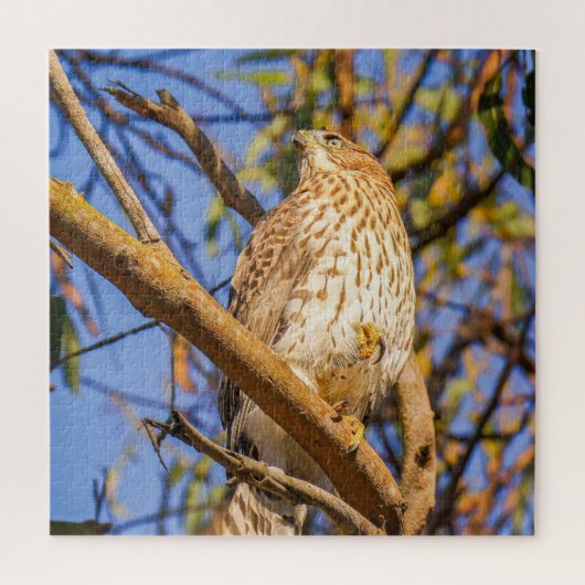Puzzle du Faucon | Art de la Nature des Rapaces Sa (Vertical)