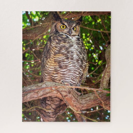 Puzzle du Grand-duc d'Amérique | Art de la faune f (Vertical)