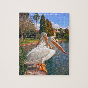 Puzzle du lac Pélican en Floride