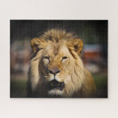 Puzzle du lion affamé (Horizontal)