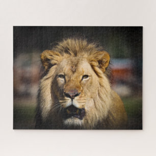 Puzzle du lion affamé