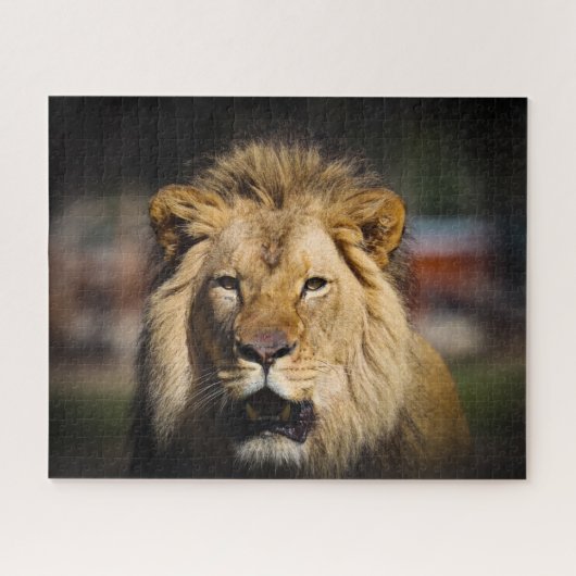 Puzzle du lion affamé (Horizontal)