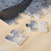 Puzzle du lion de la mer de bébé (Côté)