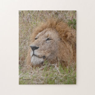 Puzzle du LION MÂLE EN GROS PLAN