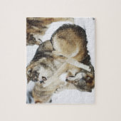 Puzzle du loup en colère (Vertical)