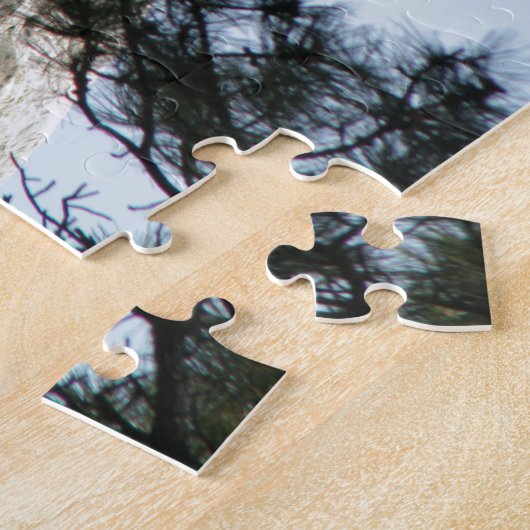 Puzzle du mont Rushmore (Côté)