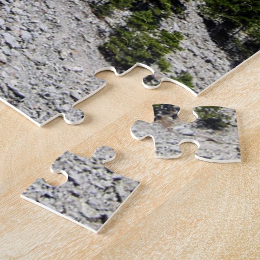 Puzzle du mont Rushmore (Côté)