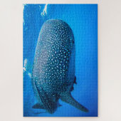 Puzzle du Requin Baleine (Vertical)