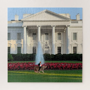 Puzzle du roi Trump