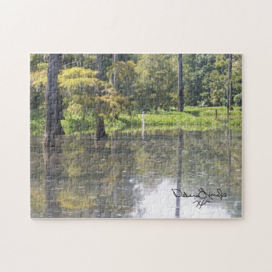 Puzzle du sud-est du Texas (Horizontal)