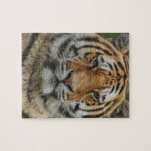 PUZZLE DU TIGRE DU BENGALE (Horizontal)