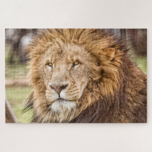 Puzzle du visage Lion grand