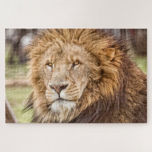 Puzzle du visage Lion grand (Horizontal)