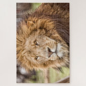 Puzzle du visage Lion grand (Vertical)